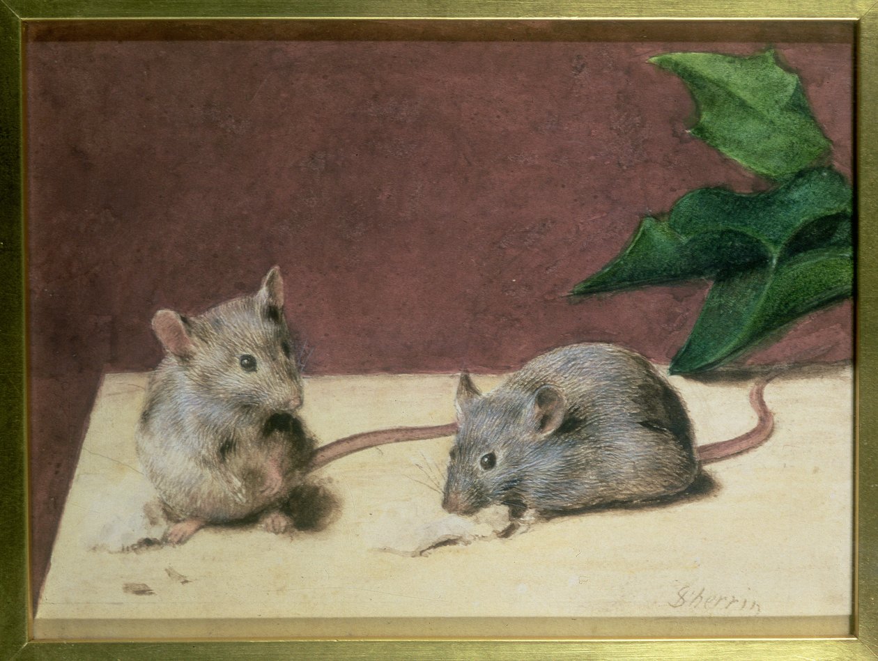 Two Mice Eating Cheese by Daniel Sherrin