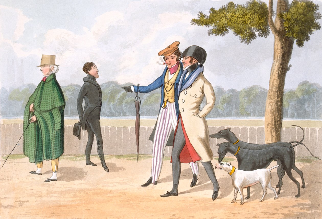 Eccentricity, Plate 11 from 