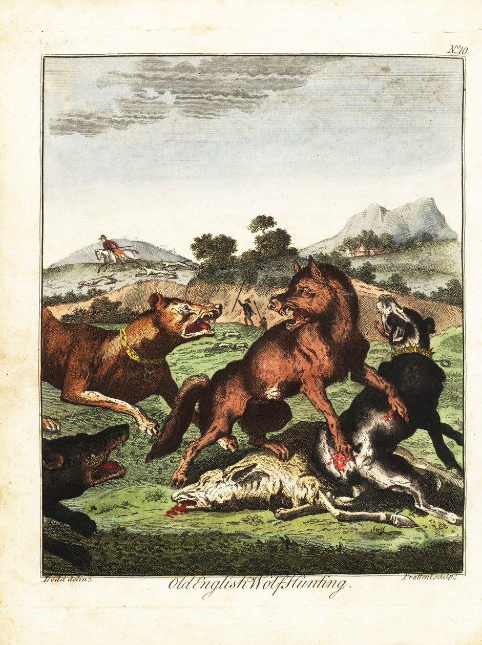 Old English Wolf Hunting. 1792 by Daniel (after) Dodd