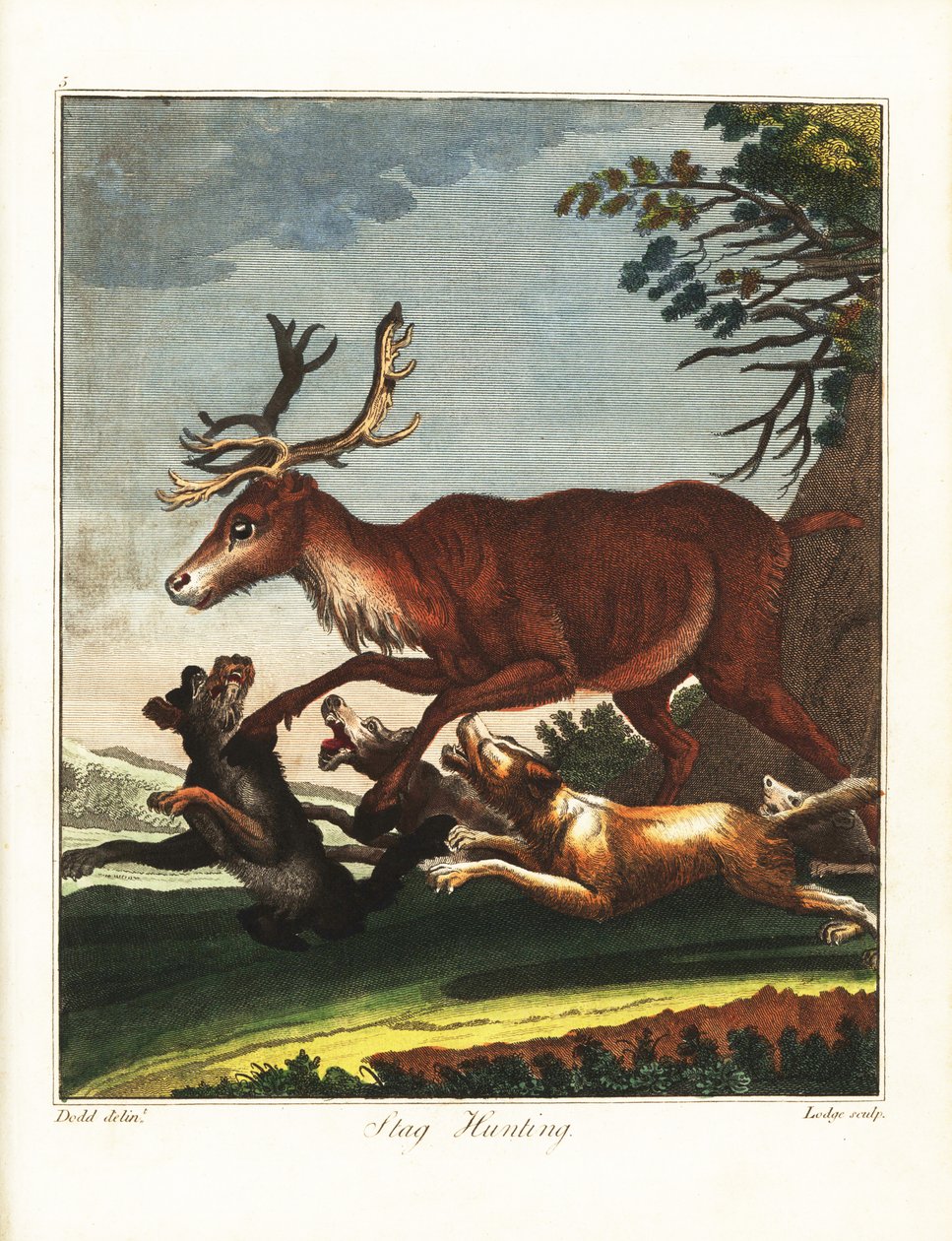 Stag Hunting by Daniel (after) Dodd