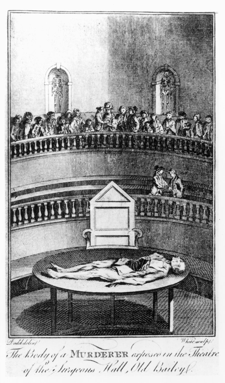 The Body of a Murderer Exposed in the Theatre of the Surgeons
