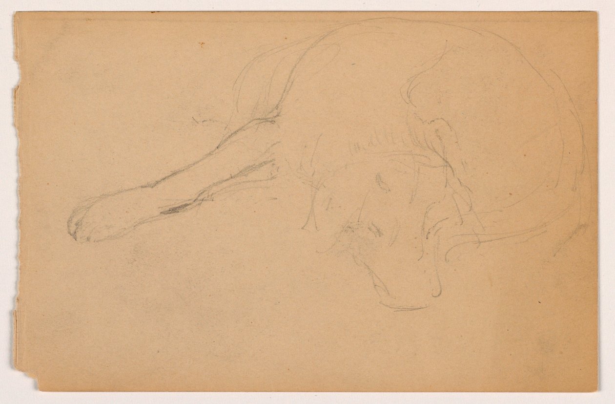 Miol (a Pointer), ca. 1862 by Daniel Huntington