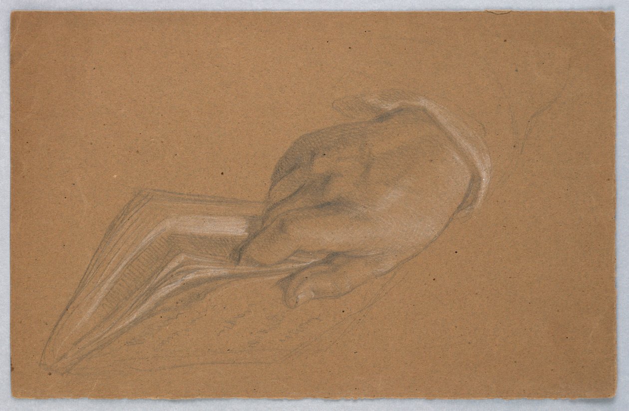 Possible Study for 