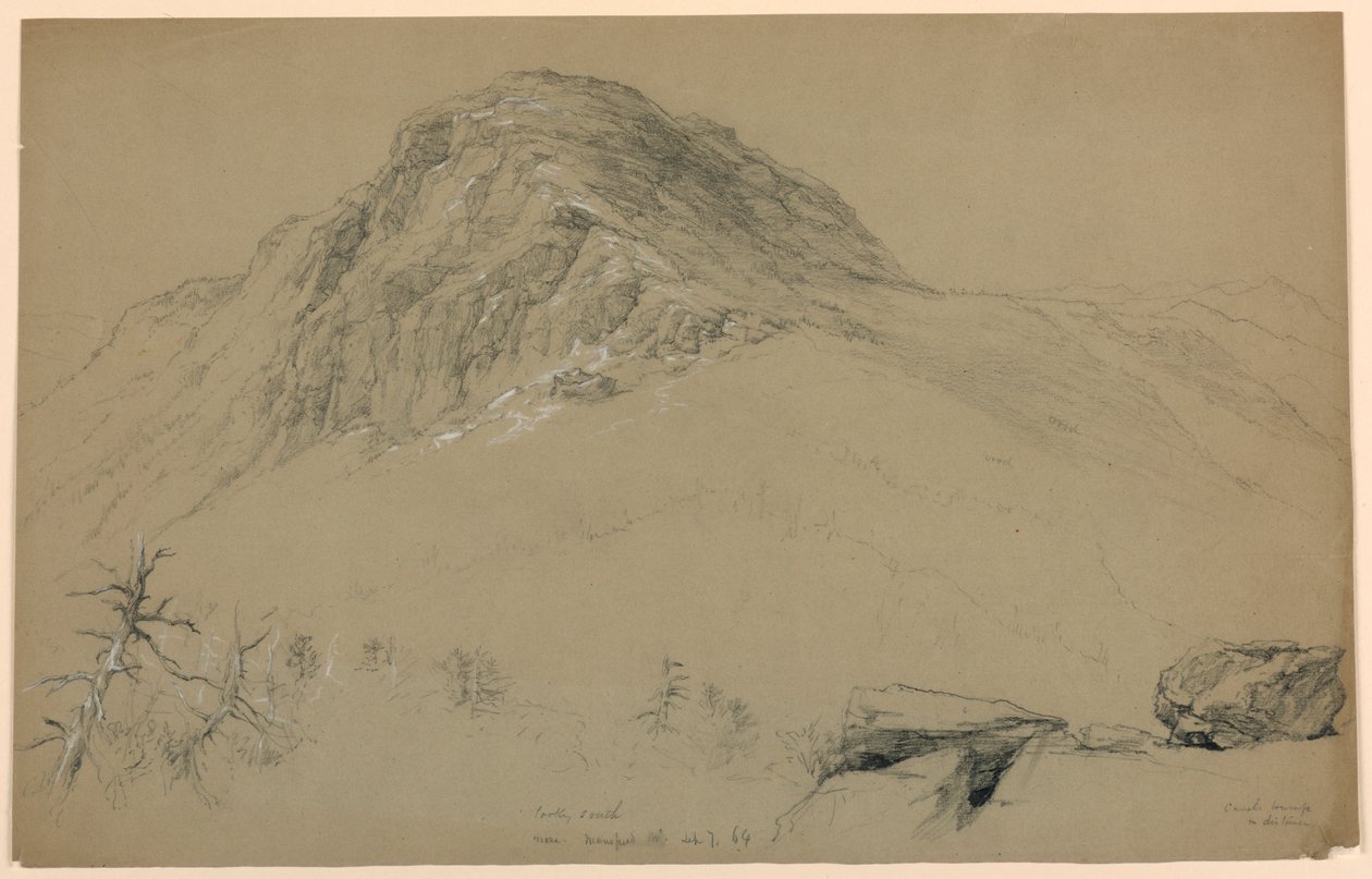 Looking South, Mount Mansfield, Vermont by Daniel Huntington