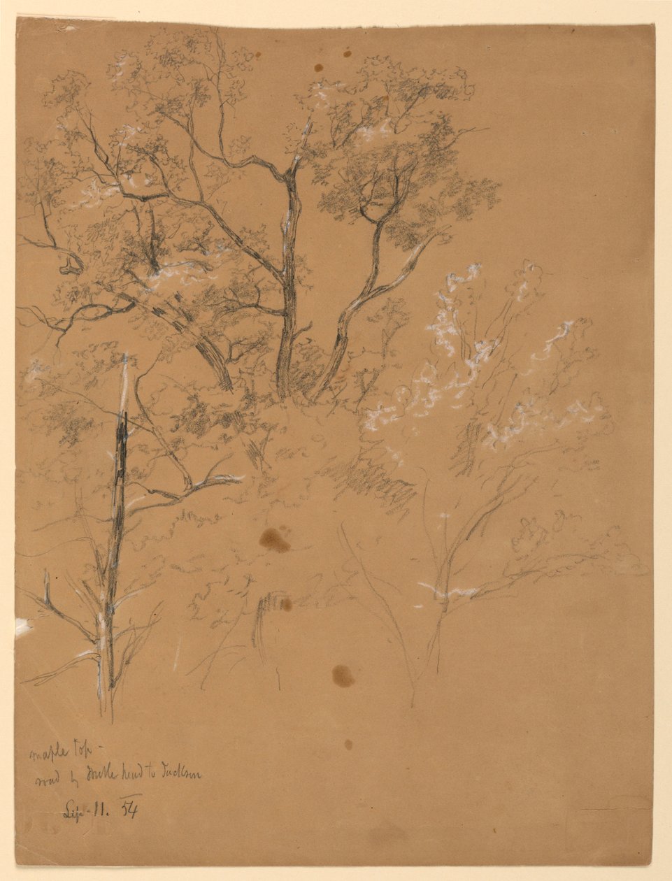 Maple Top on Road to Jackson, New Hampshire by Daniel Huntington