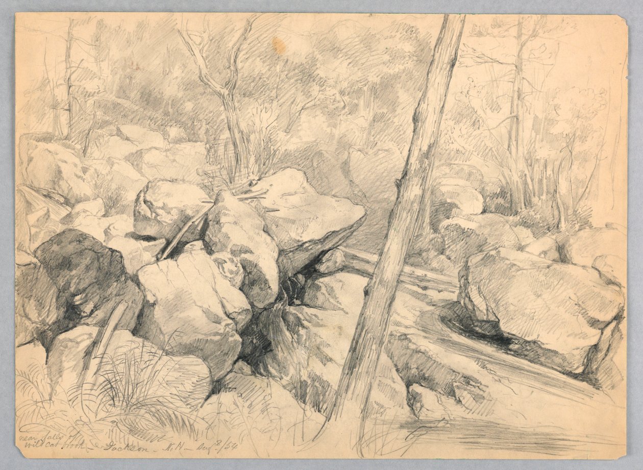 Near Falls of Wildcat Brook, Jackson, New Hampshire by Daniel Huntington