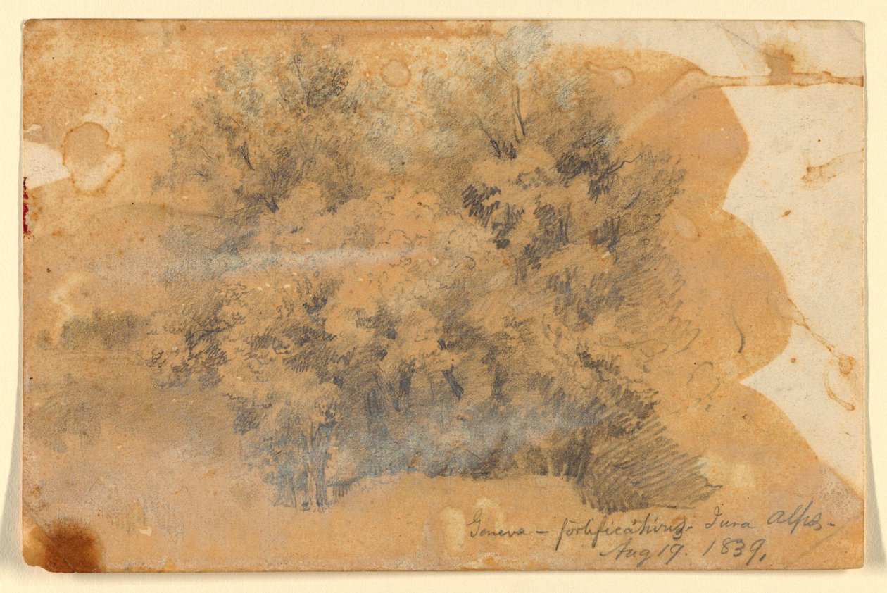 Study of Trees, Geneva by Daniel Huntington