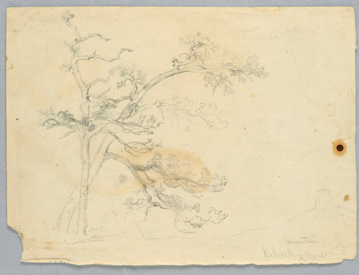 Study of Two Pines, Catskill Mountains by Daniel Huntington