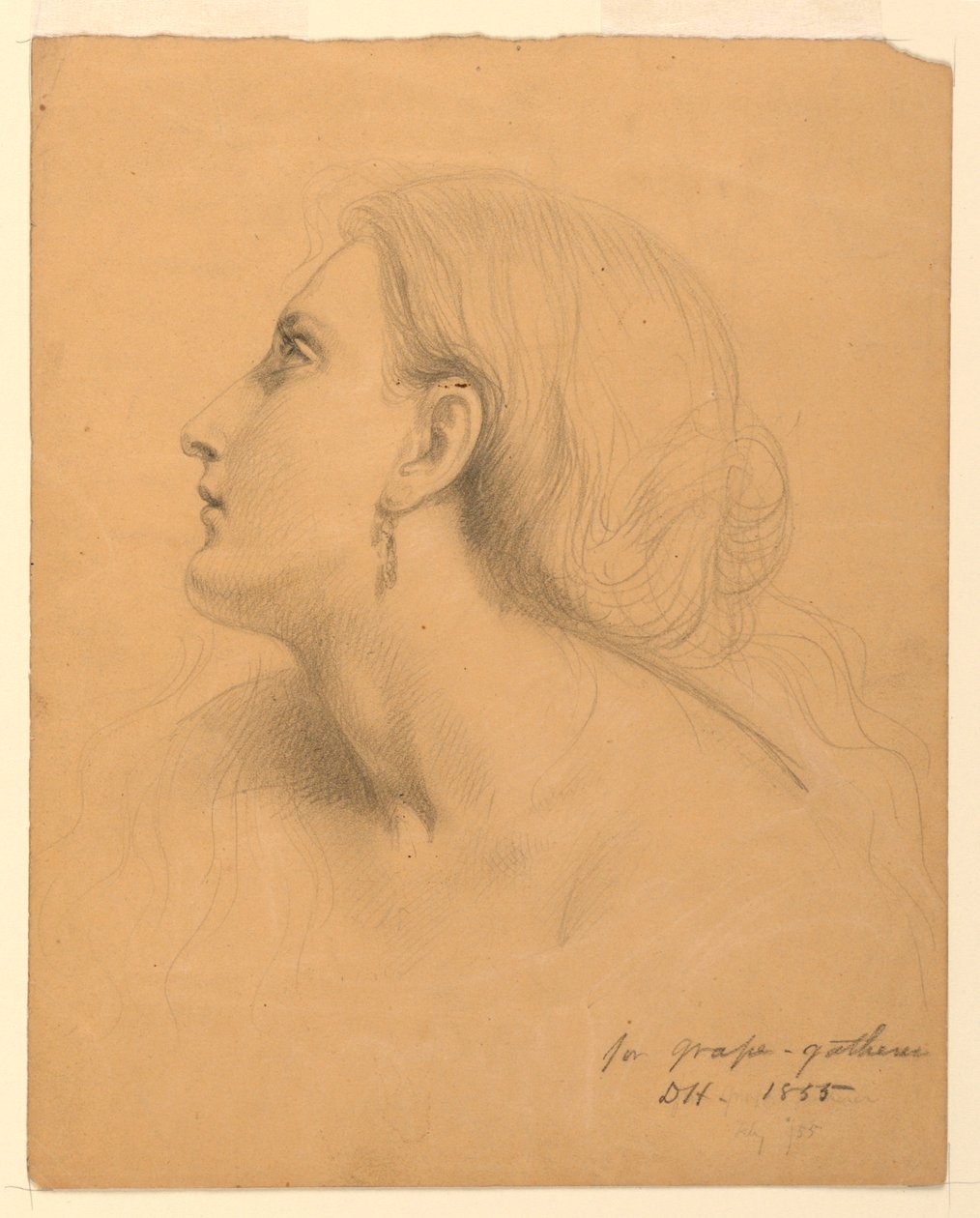 Study of a Woman