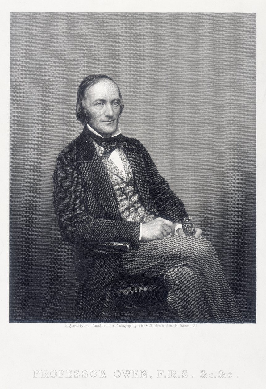 Sir Richard Owen, English Zoologist, c1860 by Daniel John Pound