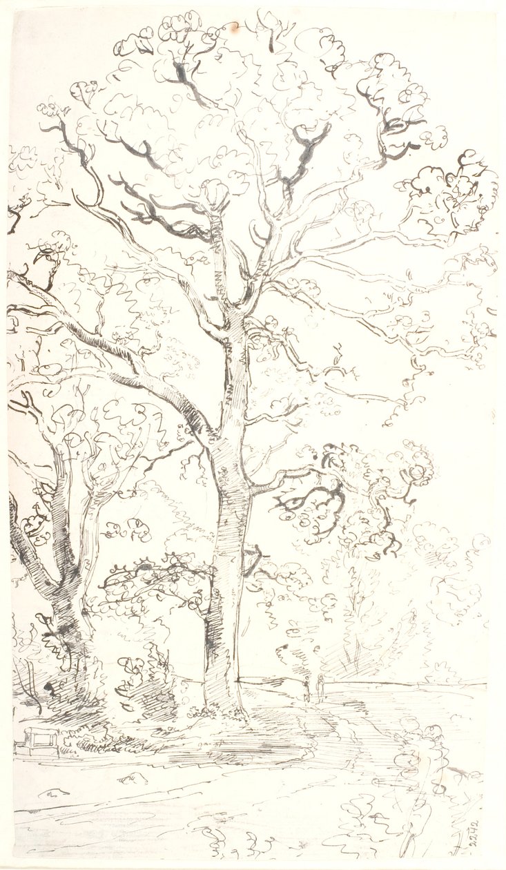 Study of Oak Trees by Dankvart Dreyer