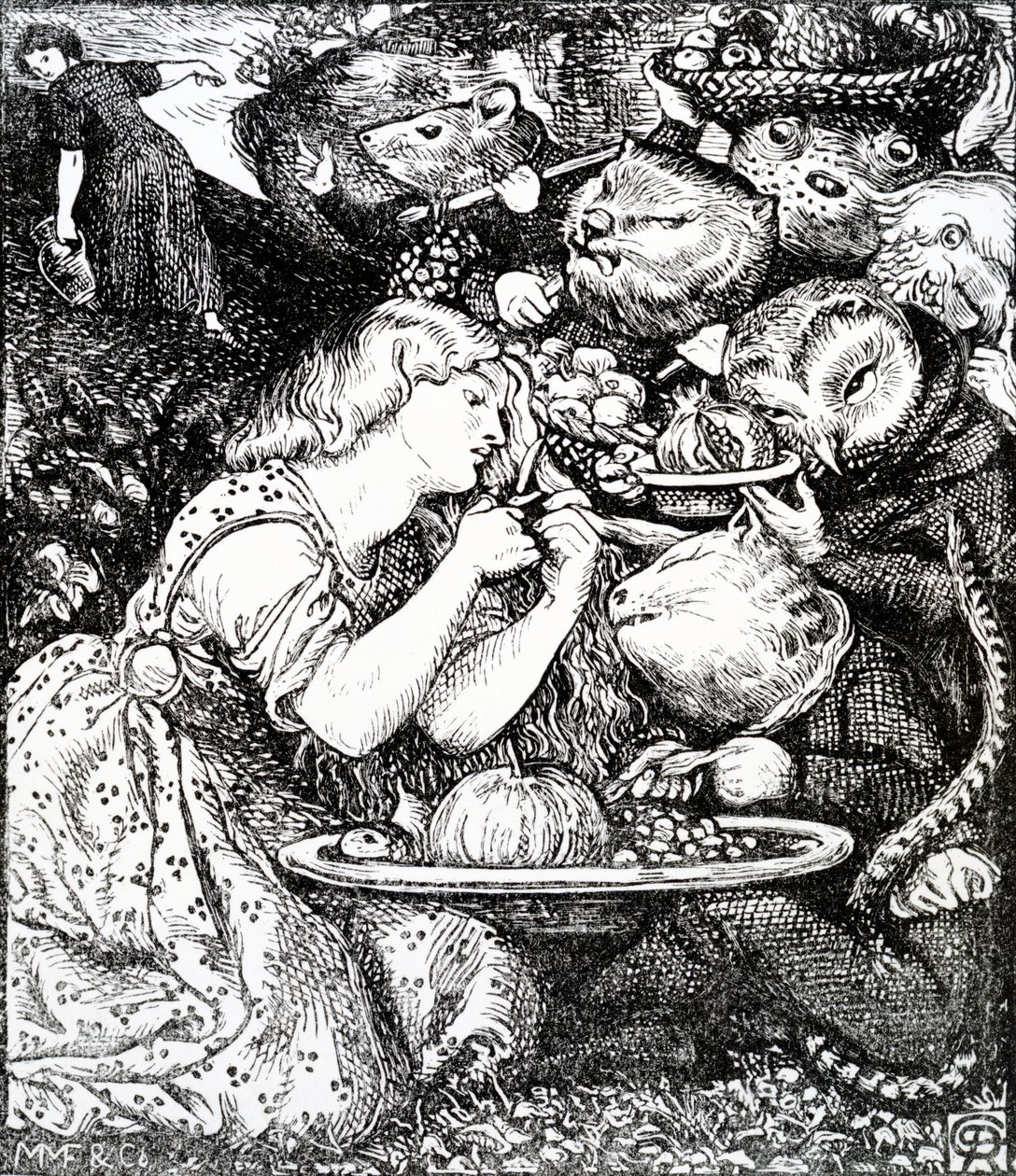 Frontispiece to 