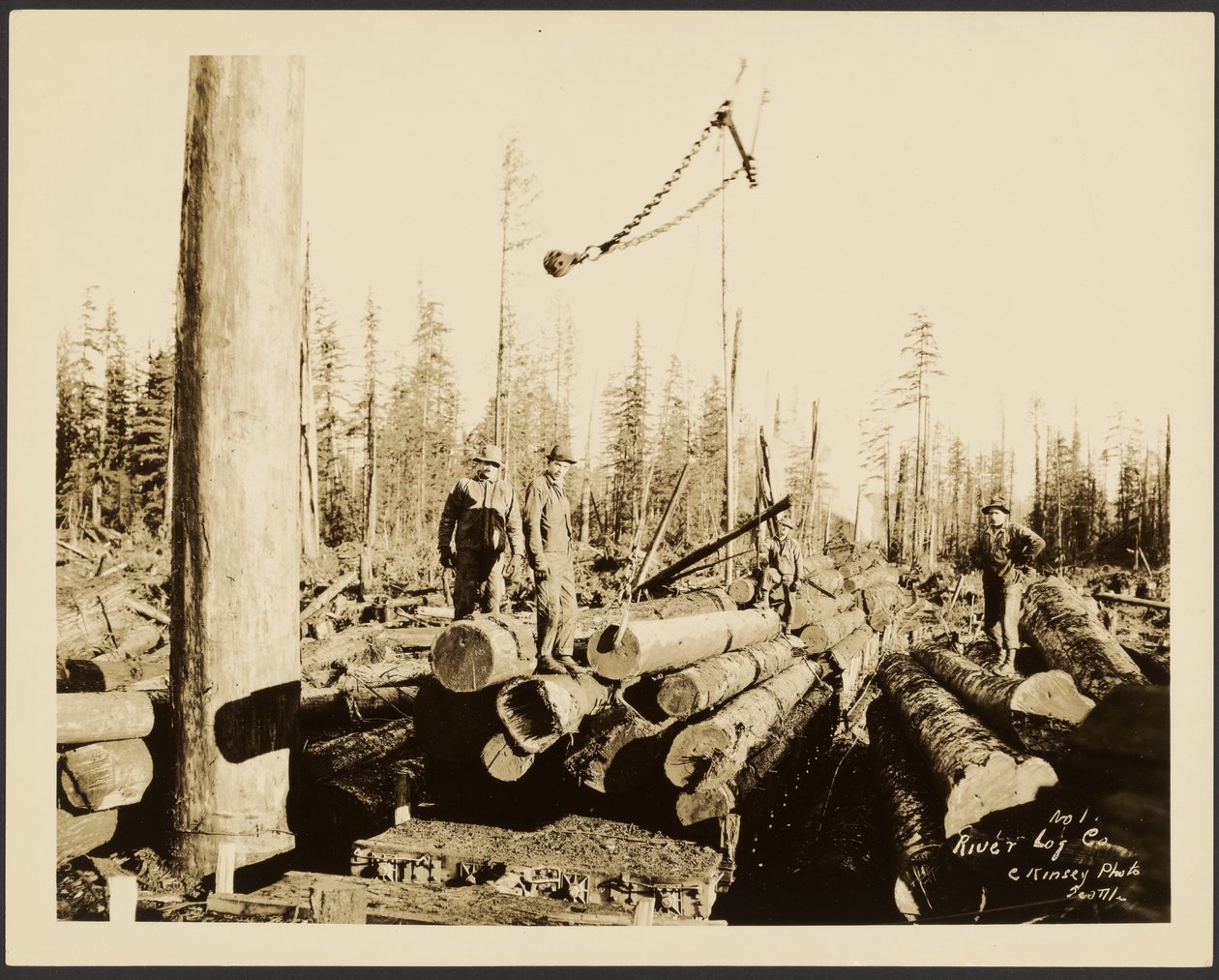 Logging/Timber Scene by Darius Kinsey