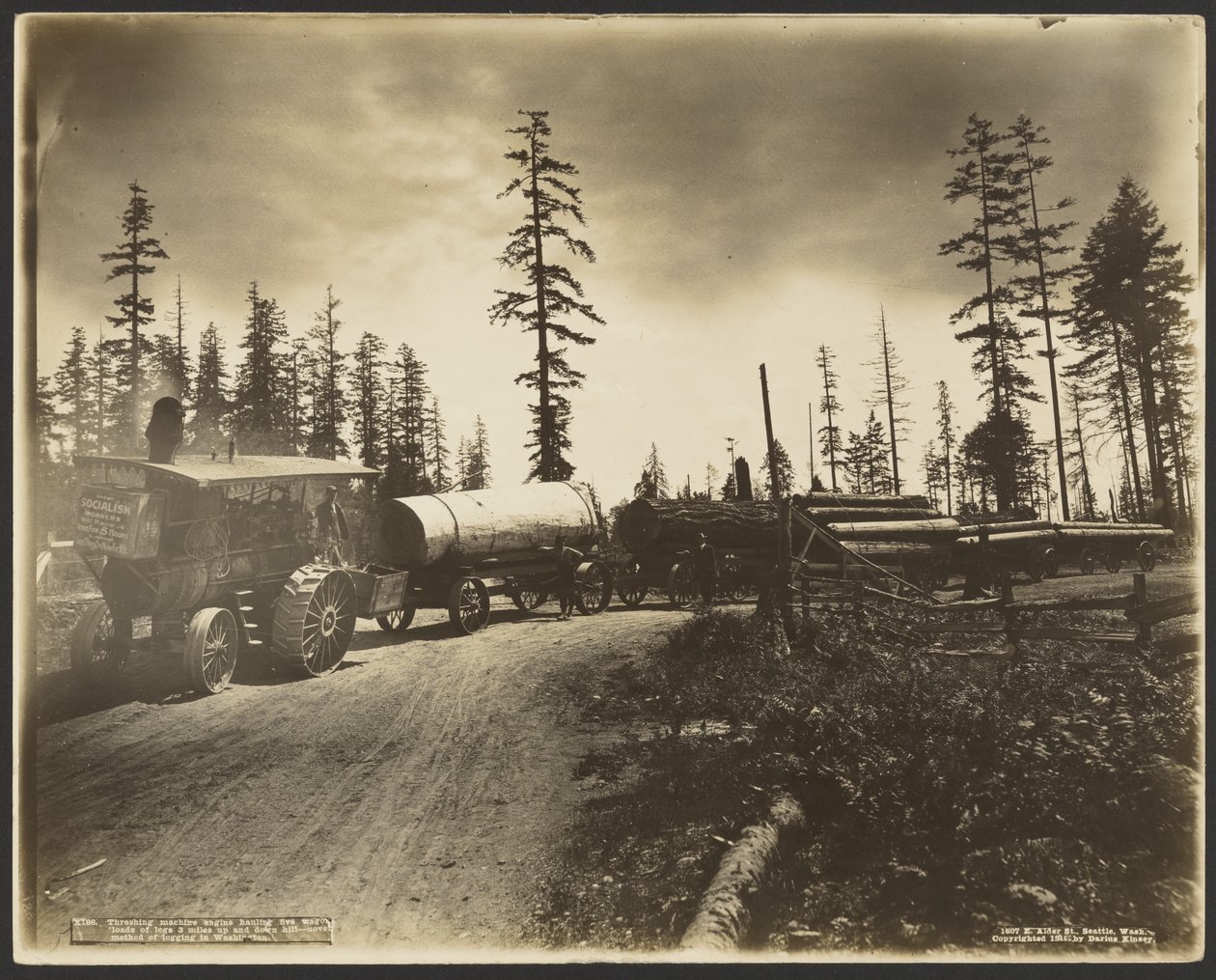 Threshing Machine Engine Hauling Five Wagon Loads of Logs by Darius Kinsey