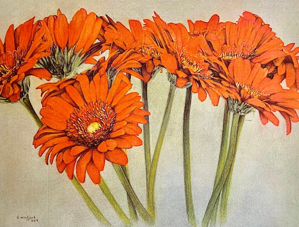 Orange Burst, 2019 by Darrell Windjack