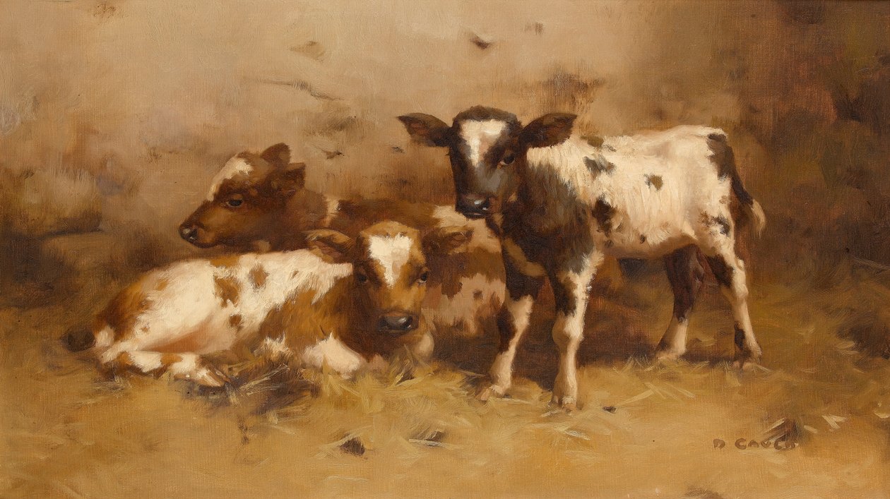 Three Calves in a Barn by David Gauld