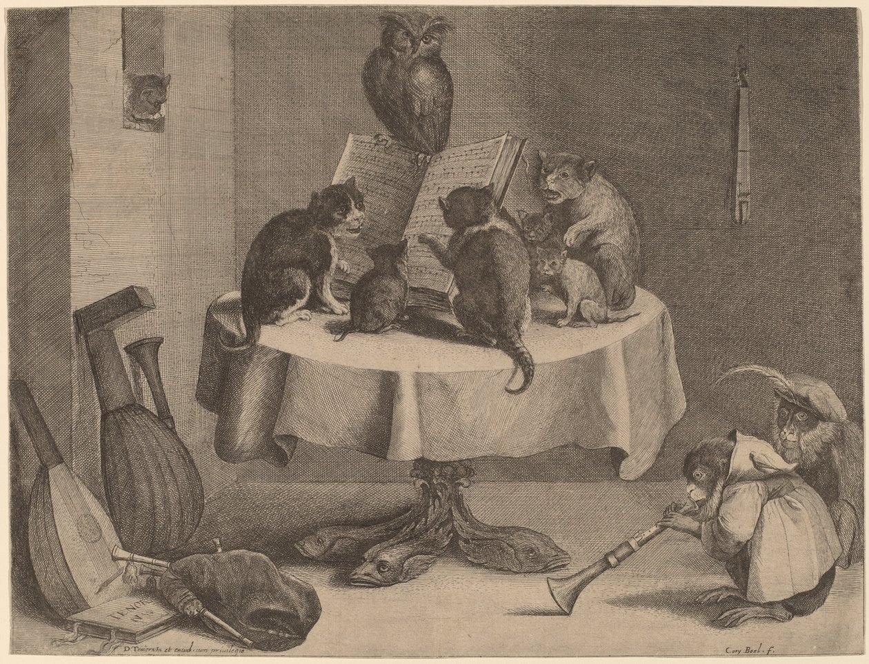 The Cat
