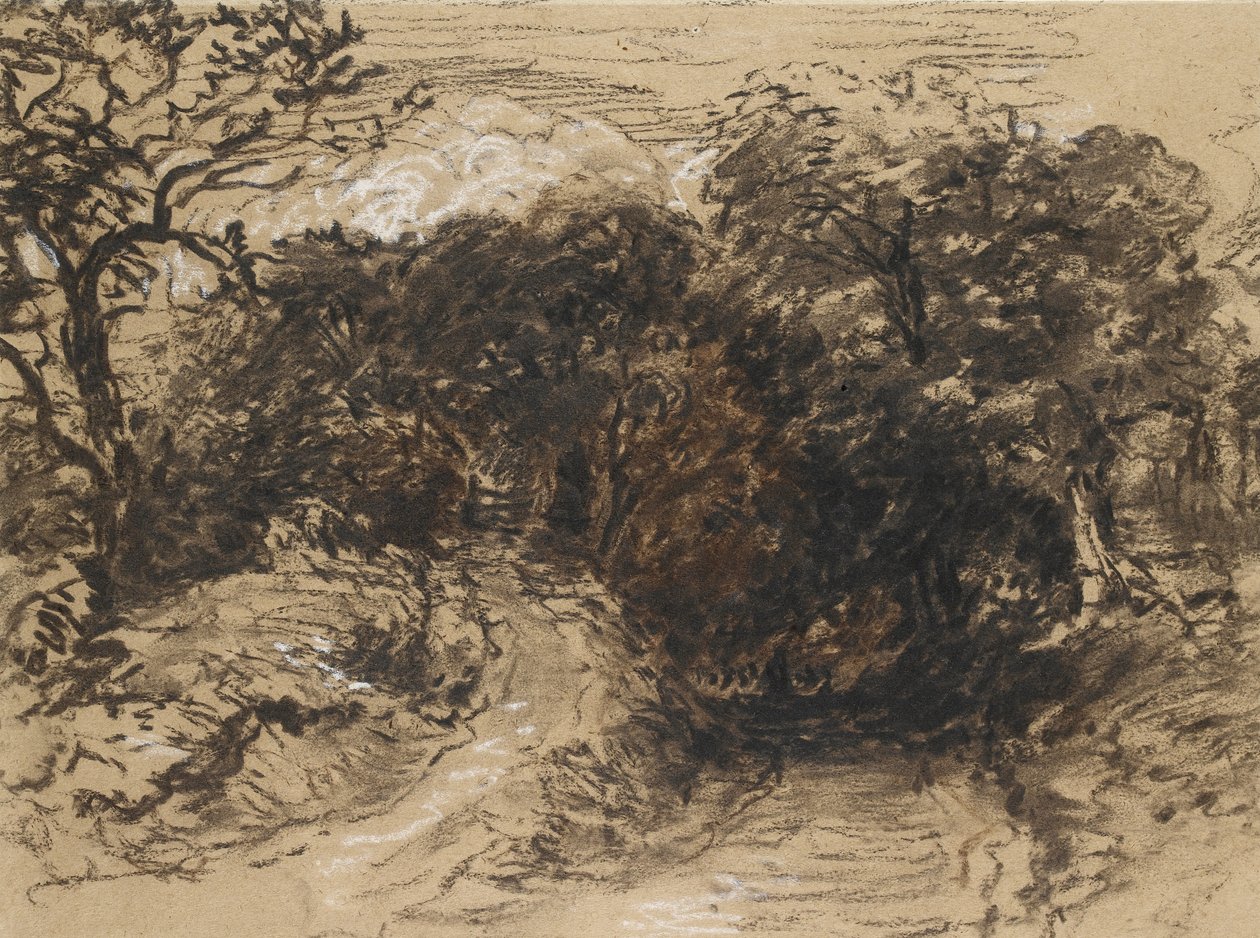 A Hollow Lane near Harborne, Derbyshire by David Cox