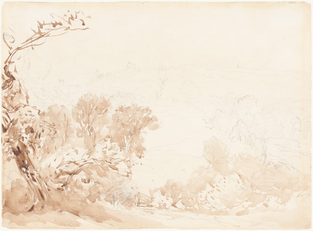 Hillside and Trees by David Cox