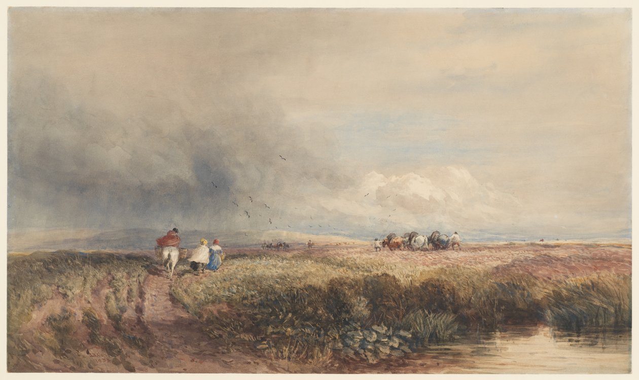 Journey Home by David Cox