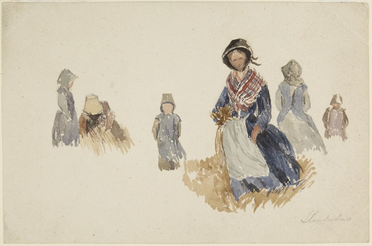 Studies of Women by David Cox