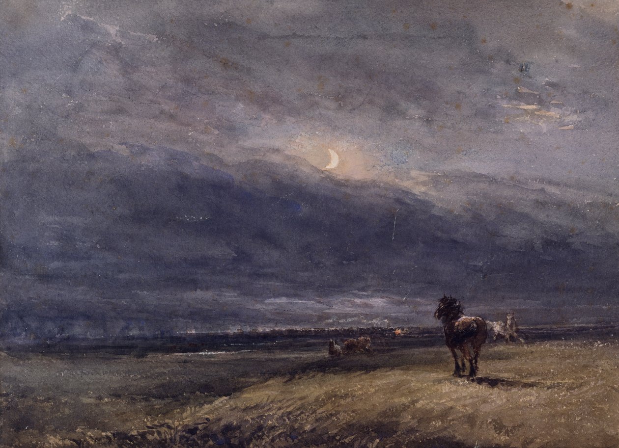 The Night Train by David Cox