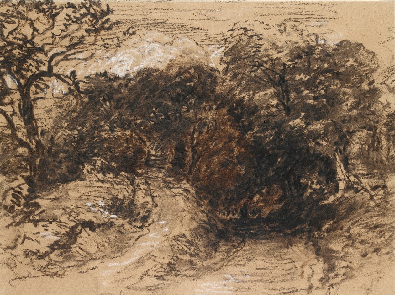 A Hollow Lane near Harborne, Derbyshire by David Cox the elder