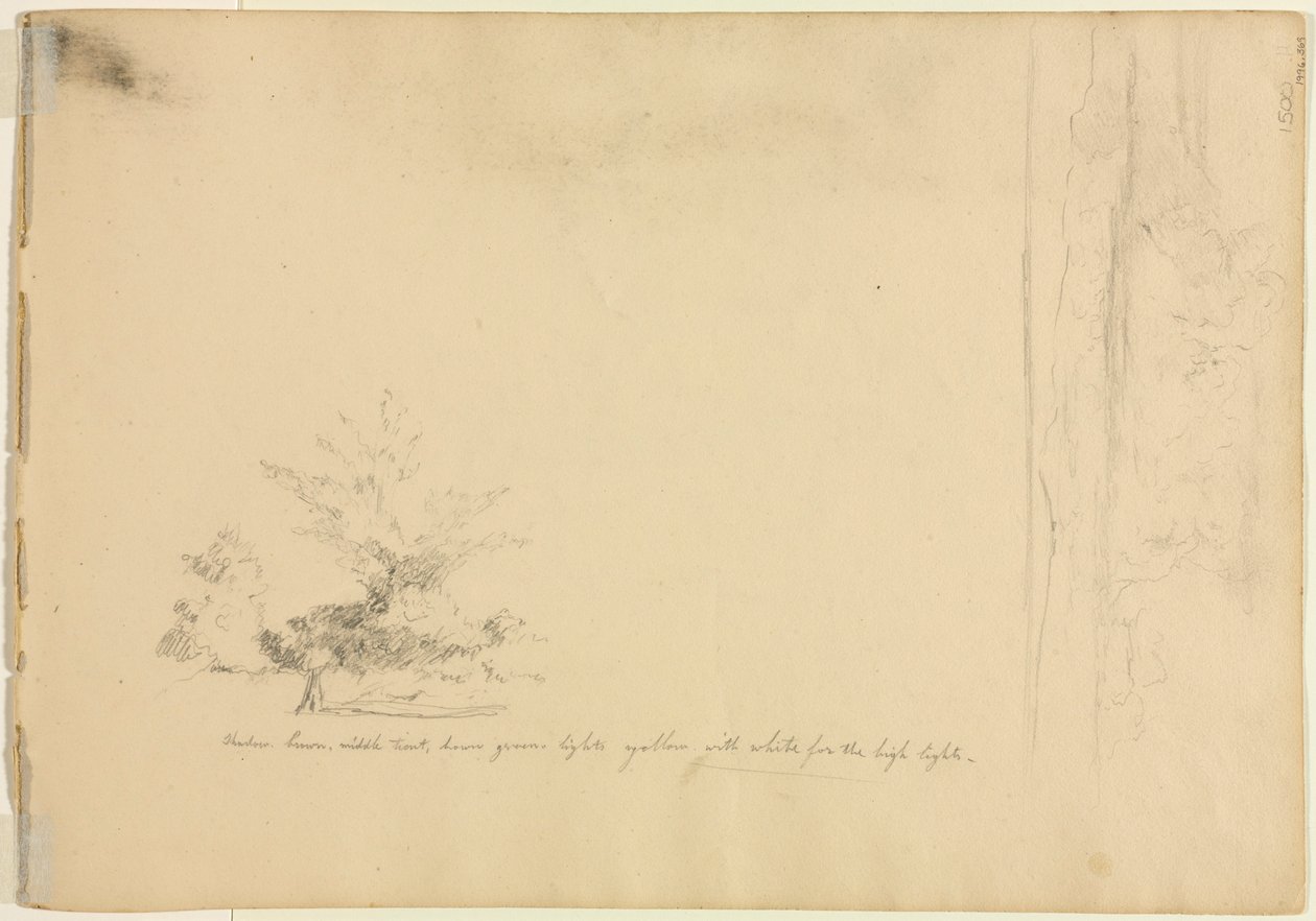Landscape and Tree Studies (verso) by David Johnson