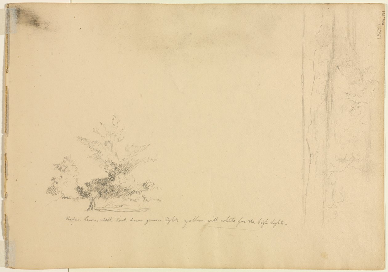 Landscape and Tree Studies, c. 1851 by David Johnson