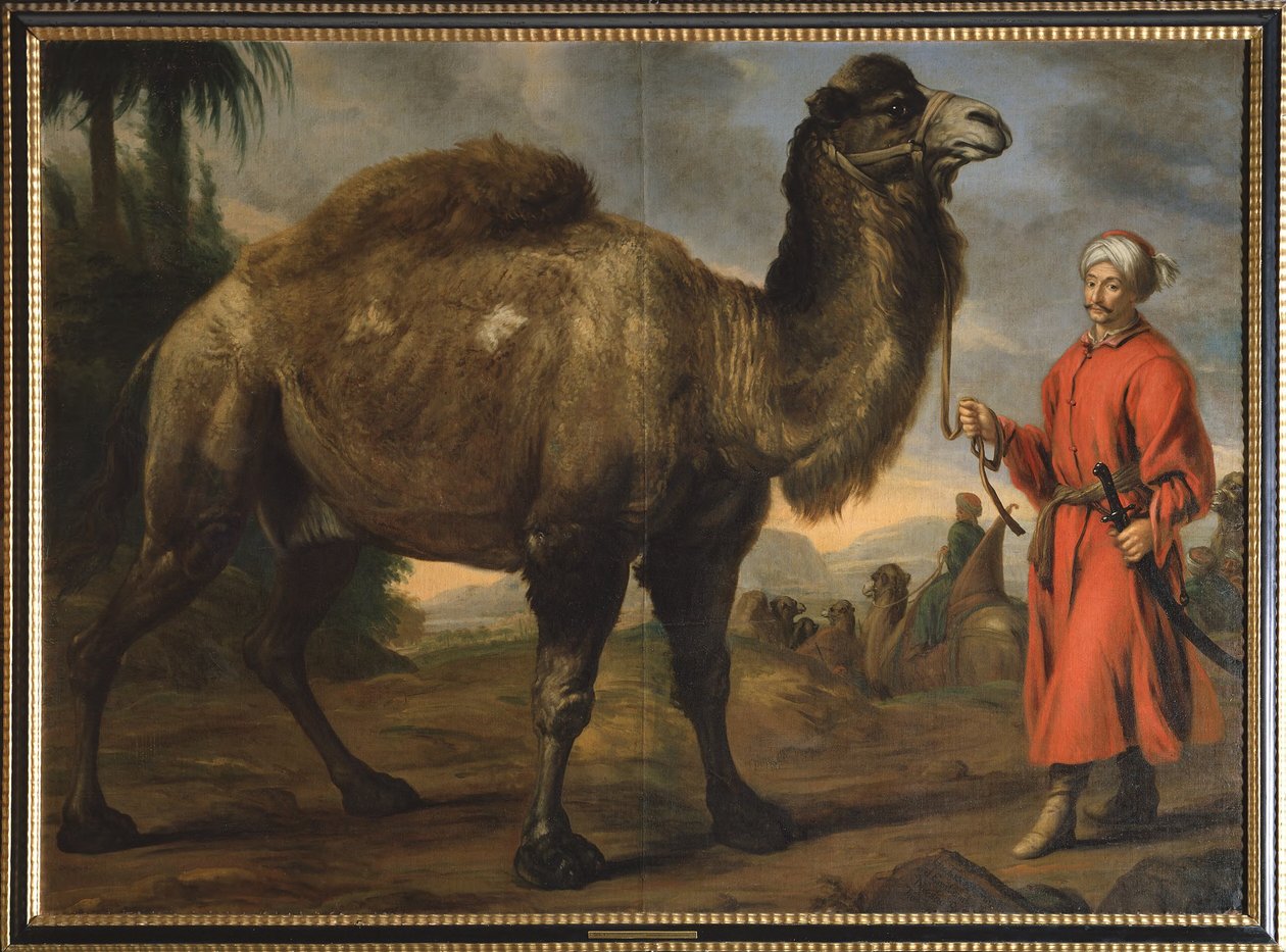 Camel with Handler by David Klöcker Ehrenstrahl