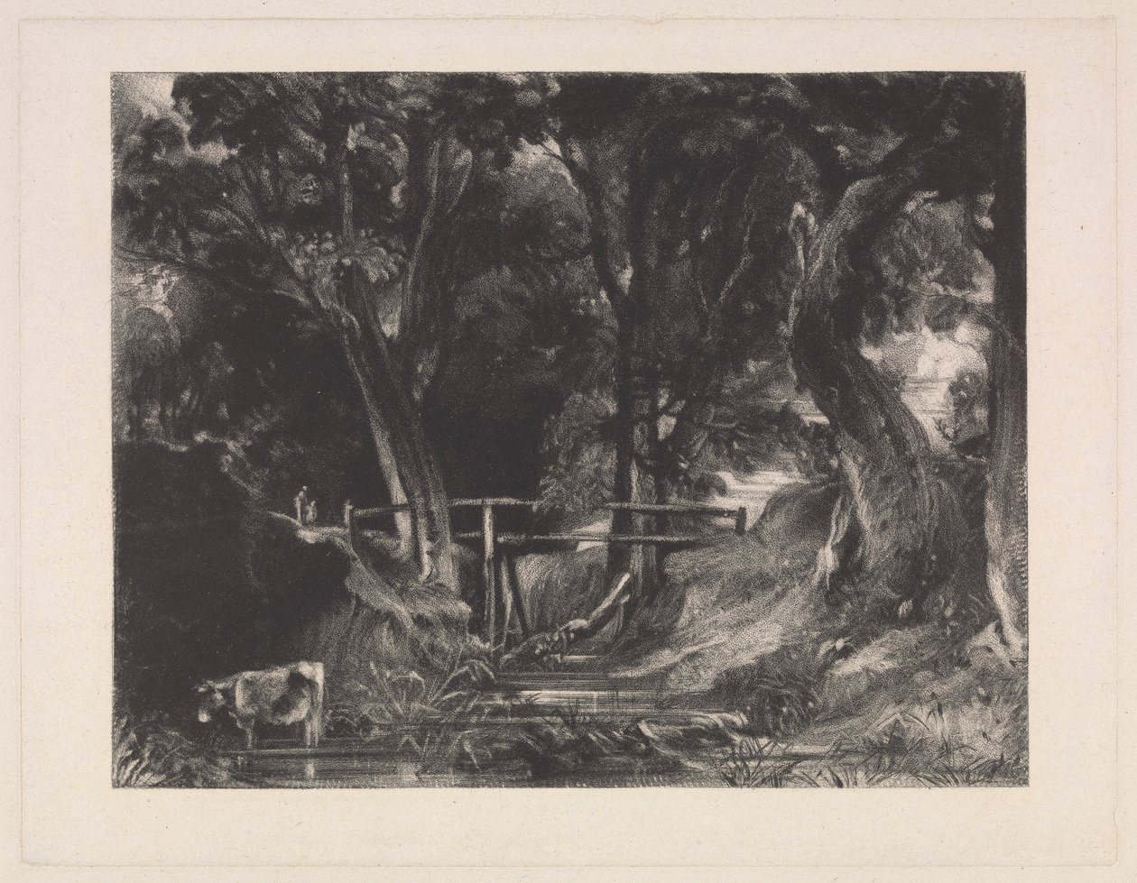 A Dell, Helmingham Park, Suffolk by David Lucas