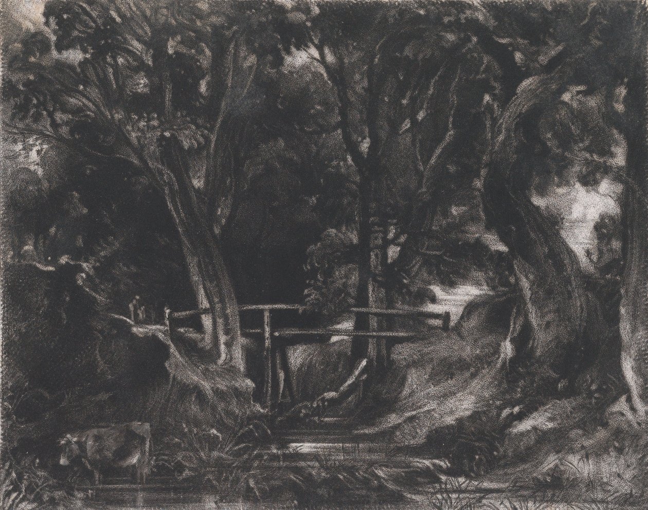 A Dell, Helmingham Park, Suffolk by David Lucas