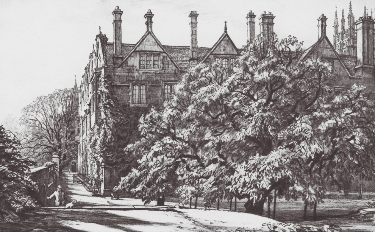 Oxford: The Mulberry, Merton Fellows