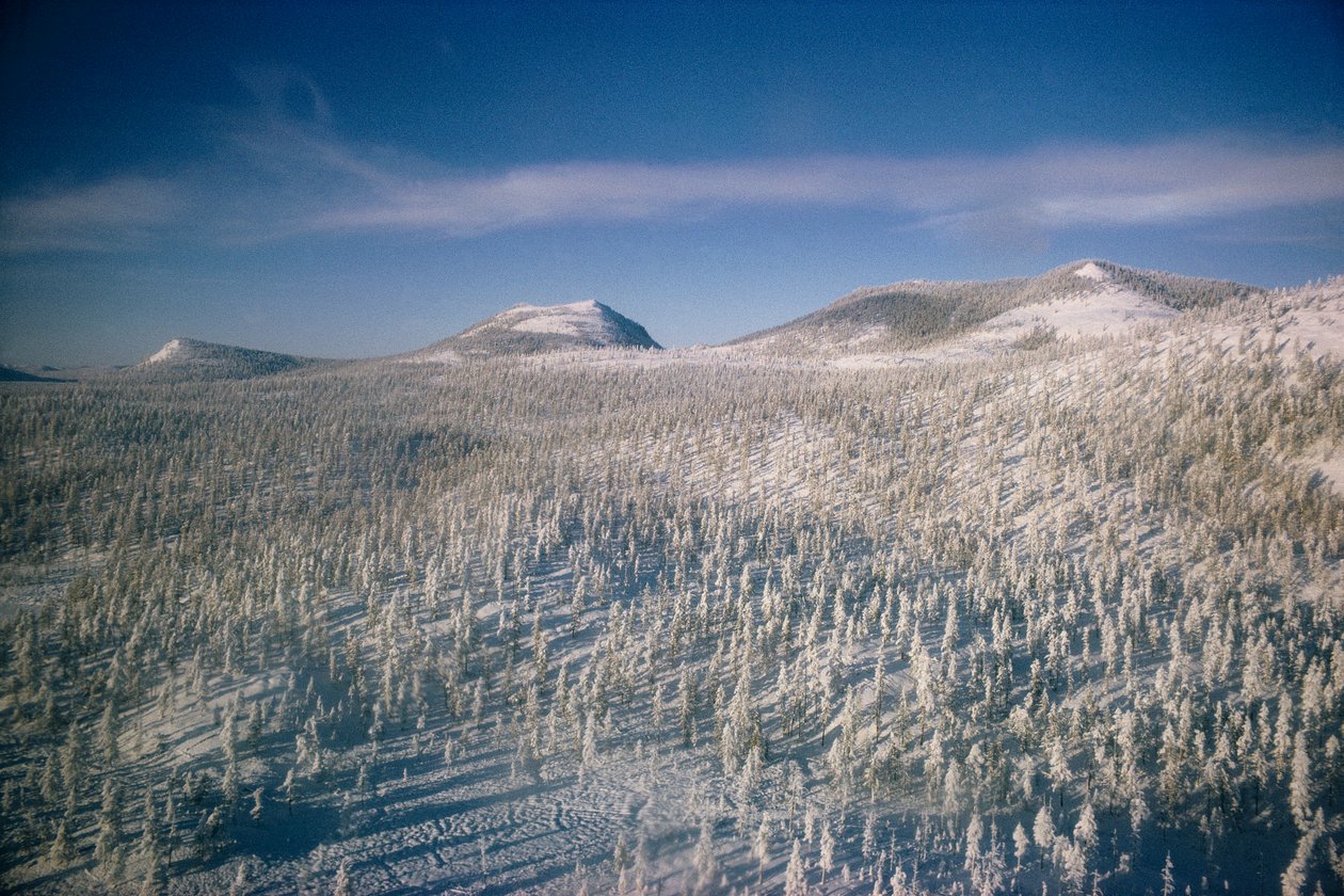 Siberia in winter landscape over marsh and forests covered in snow by Dean Conger