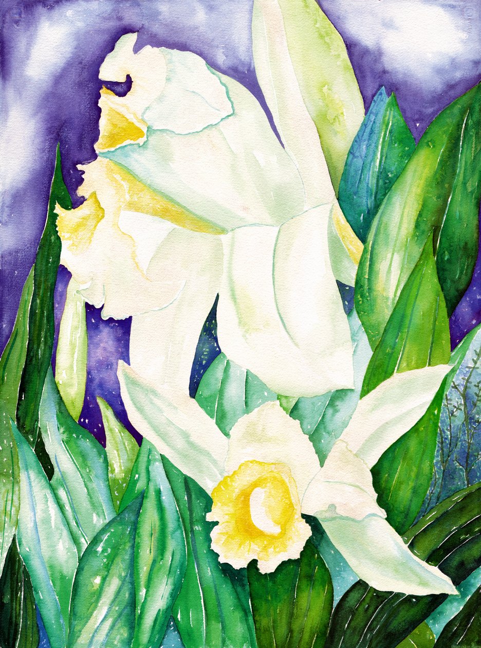 Night Orchids, 2007 by Deborah Eve Alastra