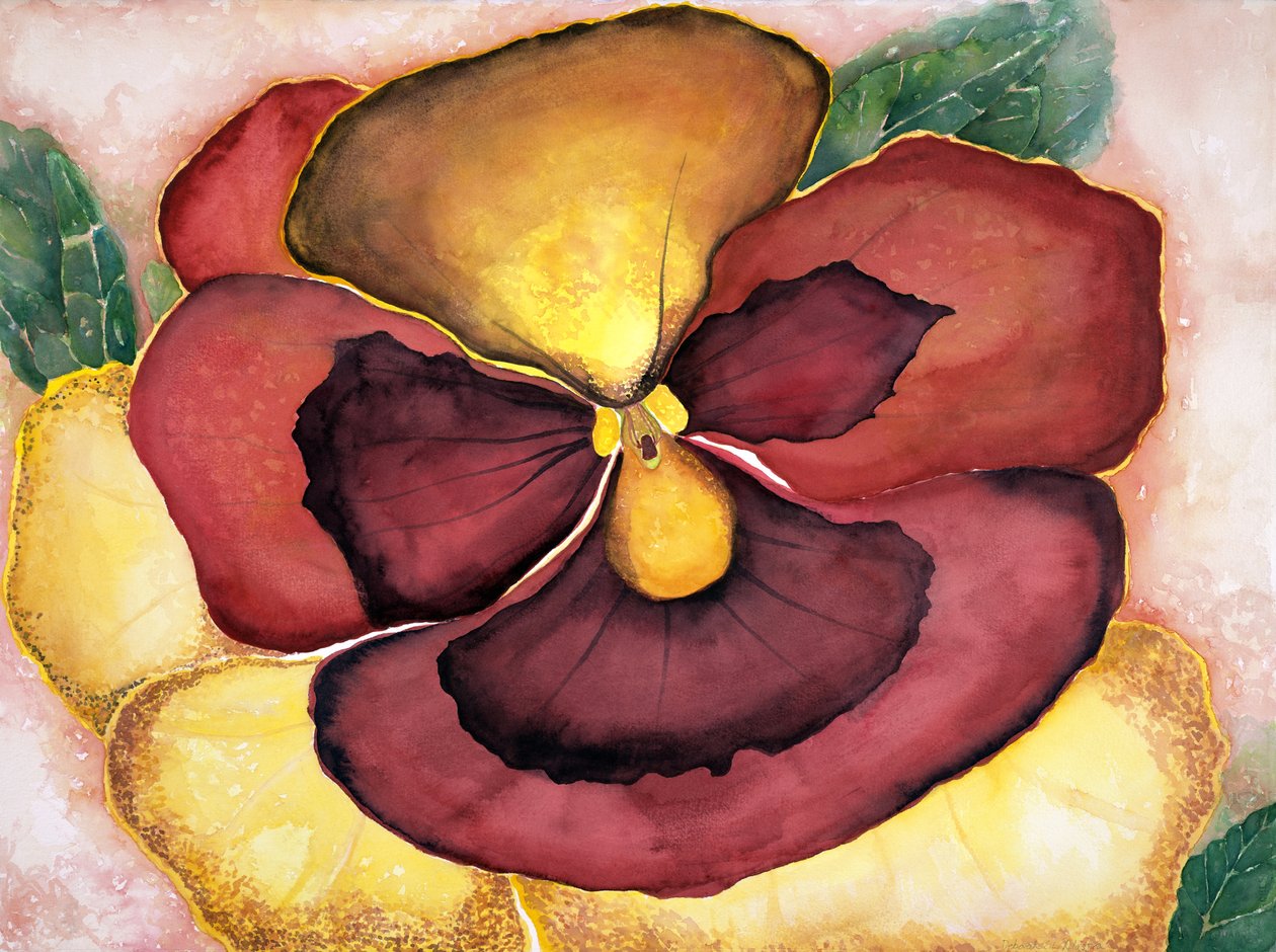 Pansey, 2007 by Deborah Eve Alastra