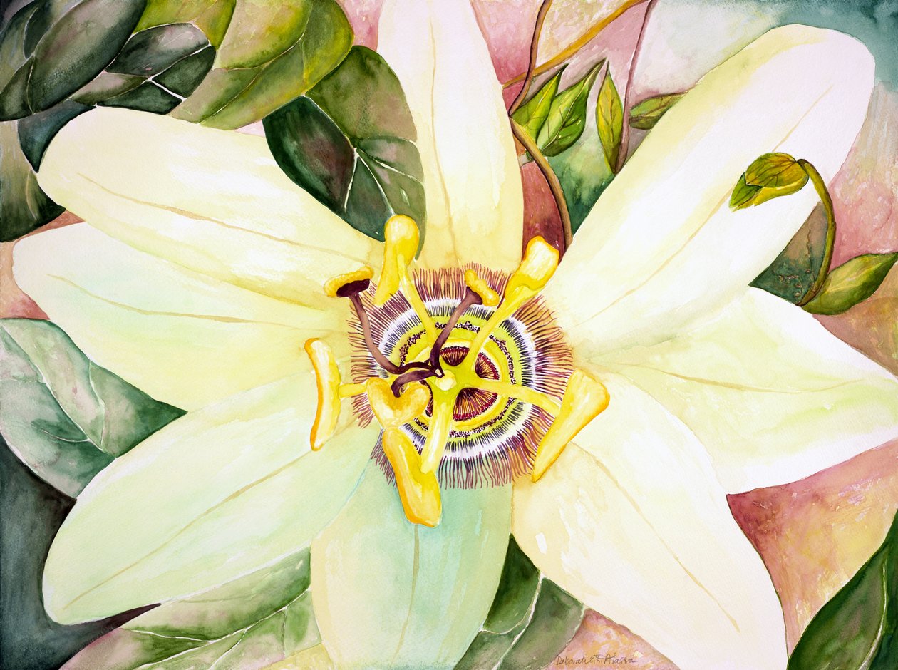Passionflower, 2007 by Deborah Eve Alastra
