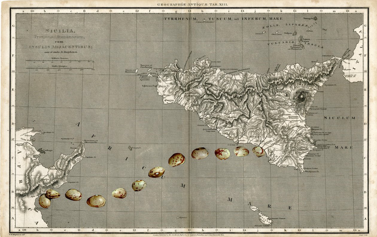 Wonder Atlas - Sicily by Deirdre Kelly