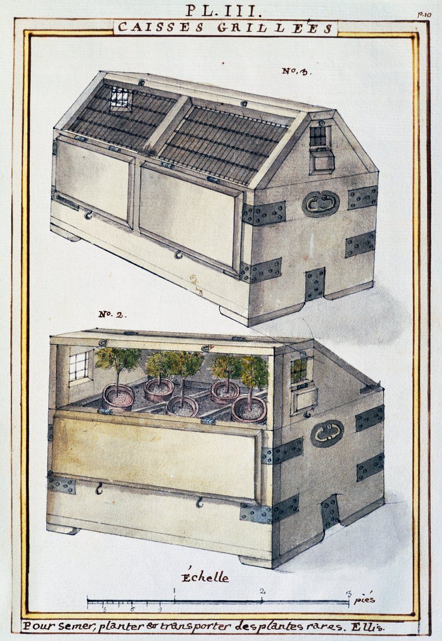 Wooden boxes to transport rare plants on ships by Delahaye, from Florindie ou Historie physico-economique des Vegetaux de la Torride by Delahaye Delahaye