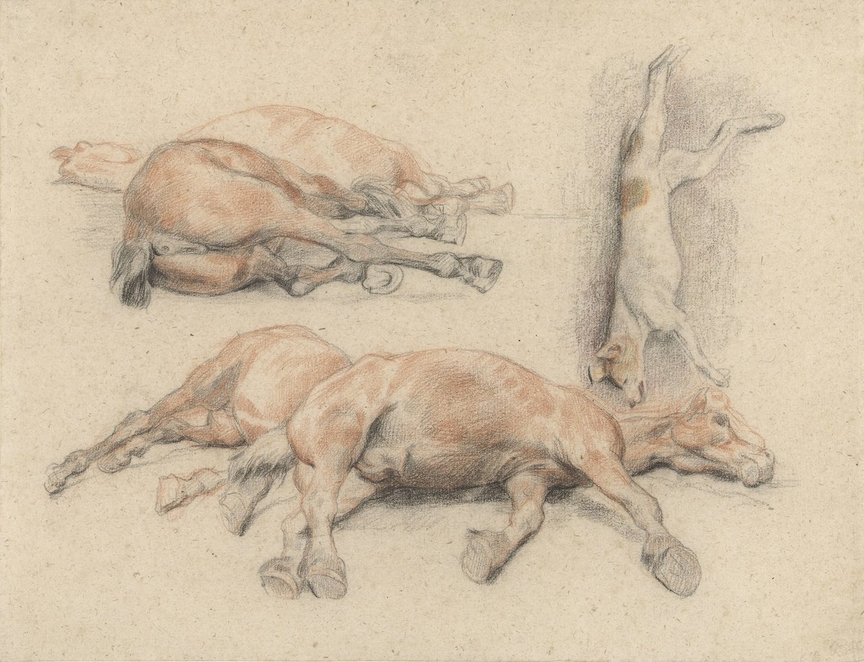 Studies of a Horse Carcass and a Dead Hanged Dog by Denis Auguste Marie Raffet