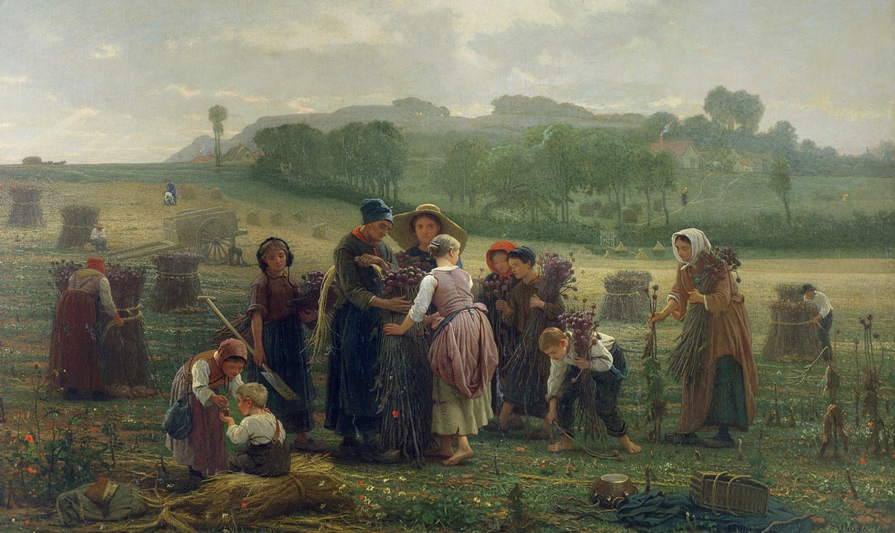 Harvesting Poppies in Picardy, 1860 by Desire Francois Laugee
