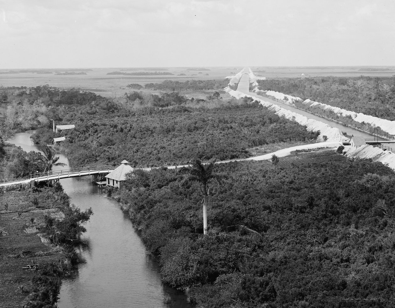 Drainage Canal and Everglades, Miami, Florida by Detroit Publishing Co.