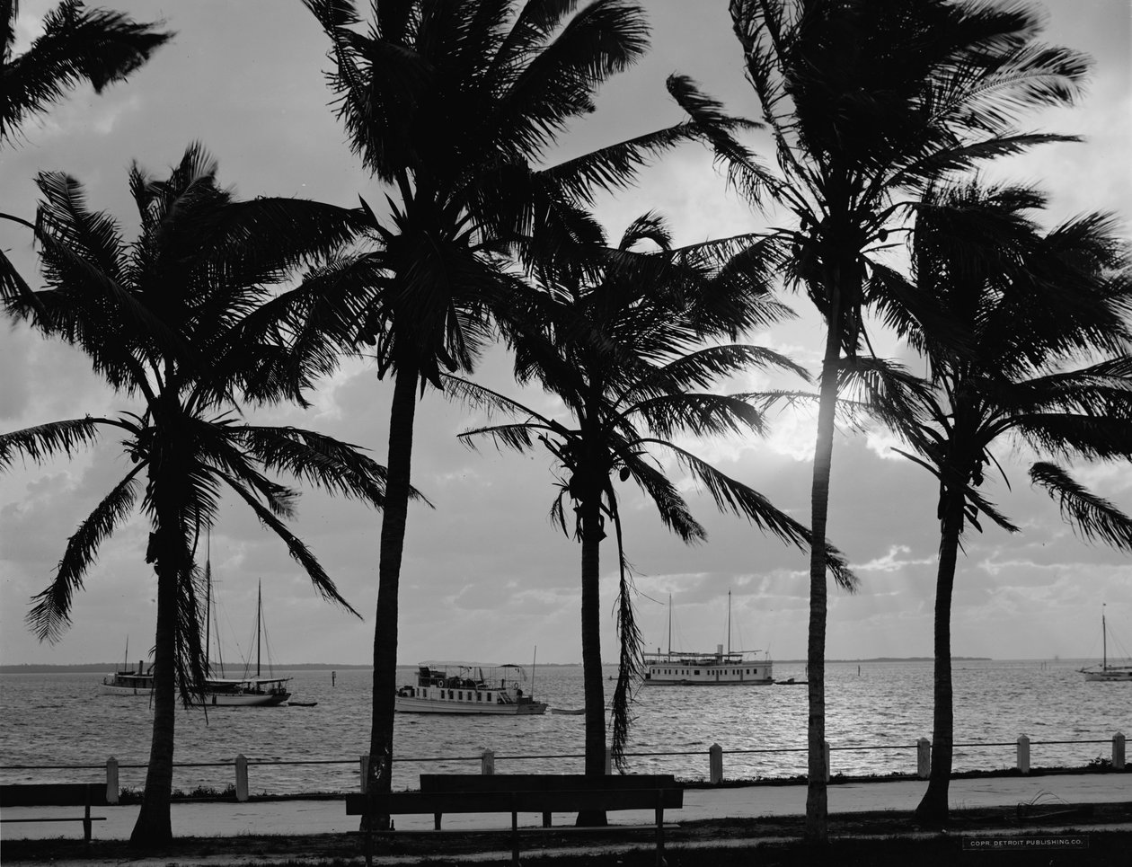 Sunset, Biscayne Bay, Miami, Florida, c.1910-20 by Detroit Publishing Co.