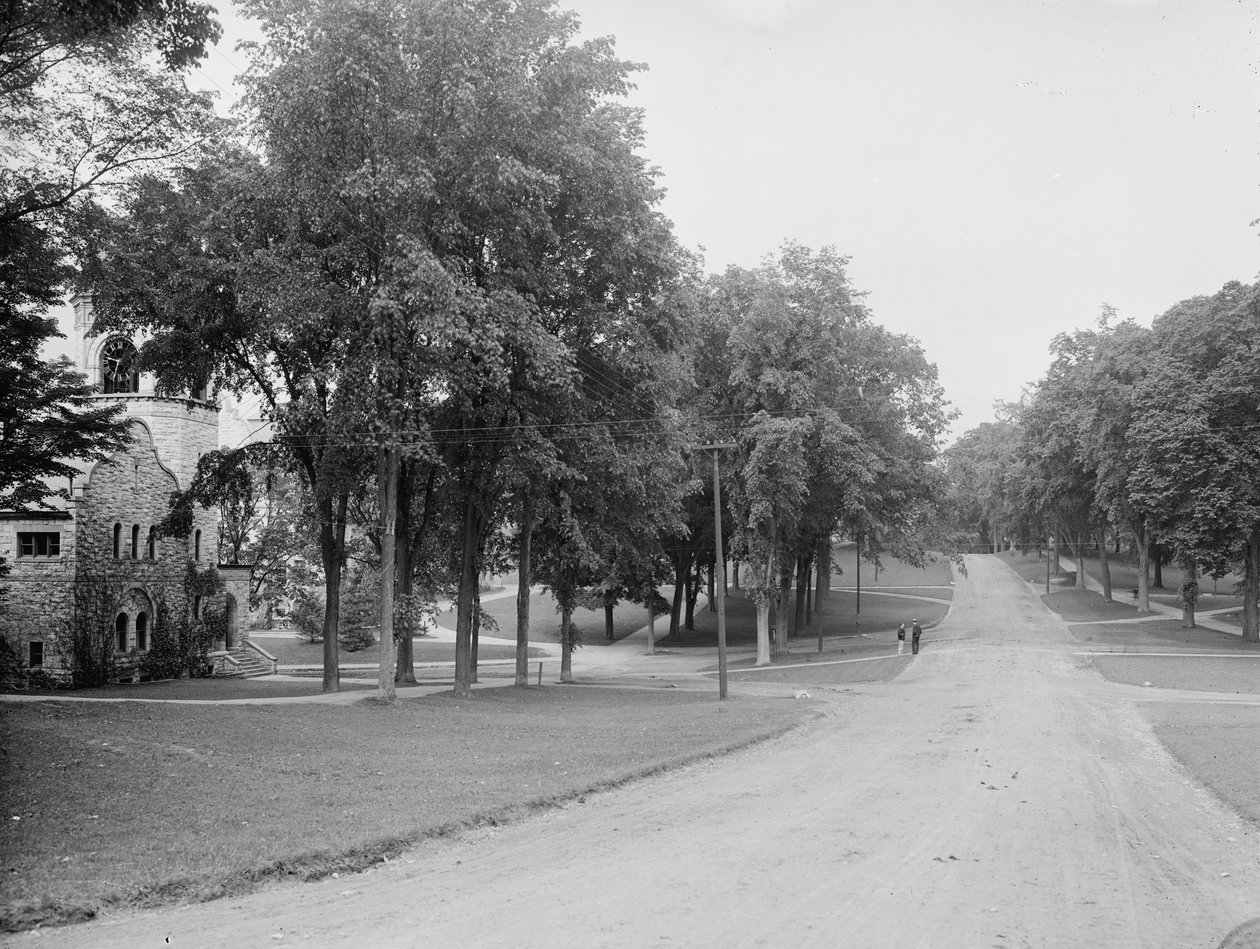 The Campus, Williams College, Williamstown, Massachusetts, c.1904 by Detroit Publishing Co.