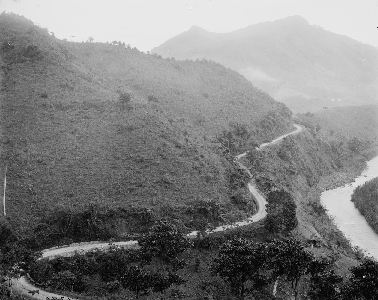 The Military Road, Puerto Rico, c.1903 by Detroit Publishing Co.