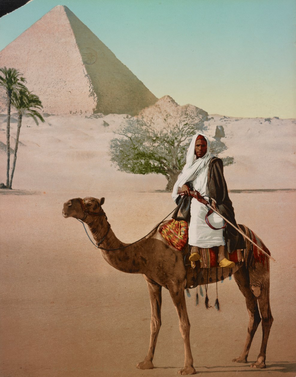 Bedouin on a Camel and the Great Pyramid, Cairo, Egypt by Detroit Photographic Co.