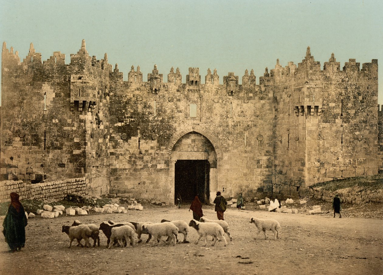 The Damascus Gate, Jerusalem, Holy Land by Detroit Photographic Co.