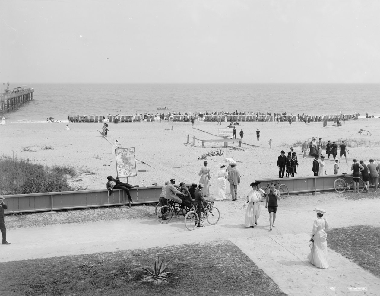 Palm Beach, Florida by Detroit Publishing Co.