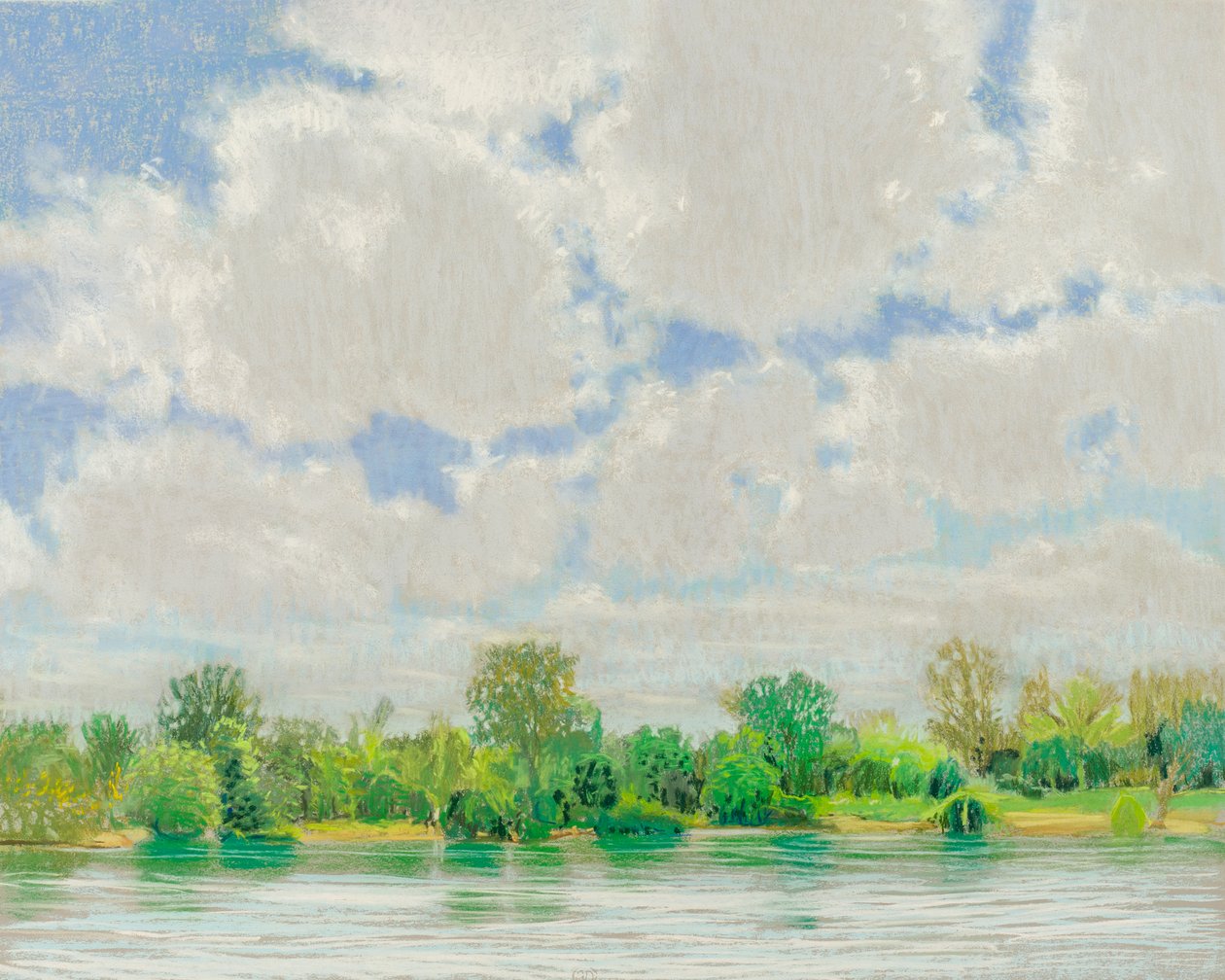 American River View, 2017 by Diana Jahns