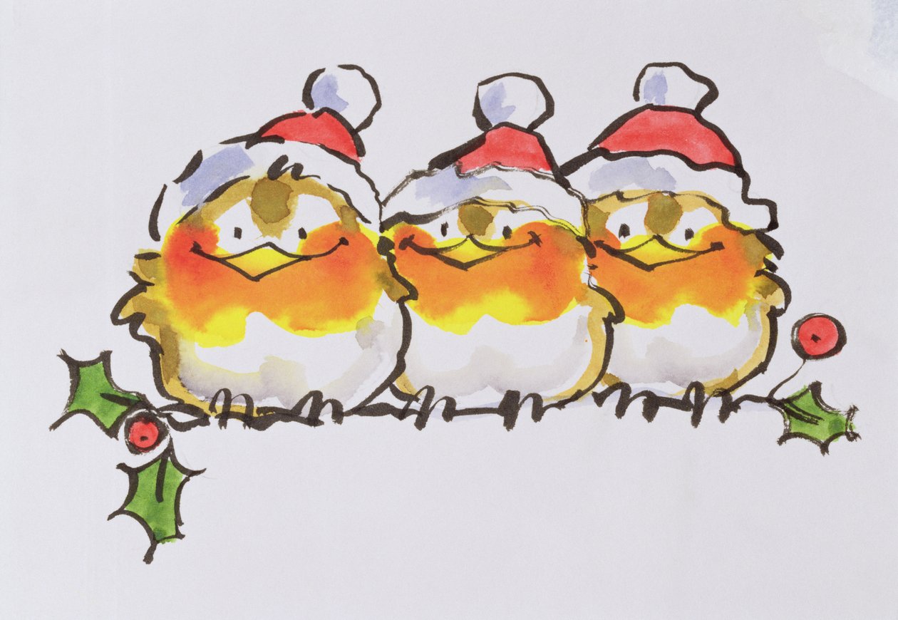 Christmas Robins by Diane Matthes